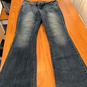 AE artist stretch jeans